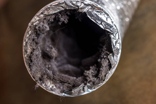 Best HVAC Air Duct Cleaning  in Whitemarsh Island, GA